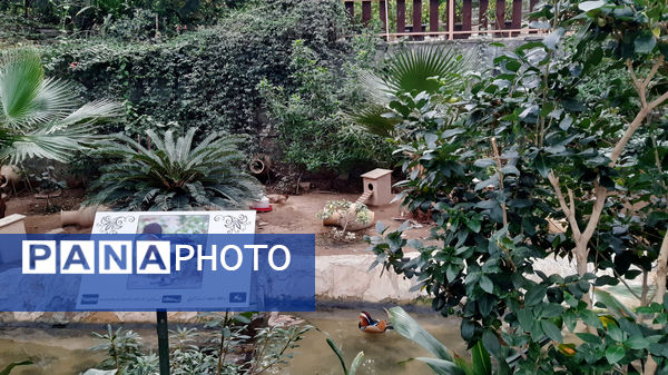 باغ پرندگان قم: جاذبه‌ای بی‌نظیر در قلب کشور