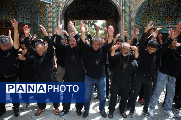 جلوهایی از عزاداری روز تاسوعا در حرم حضرت معصومه(س)
