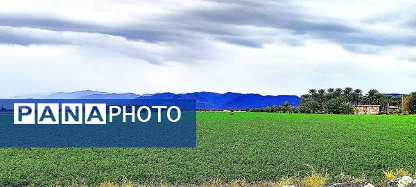 بارش باران فاریاب را شست و هوای غبار آلود پاک شد