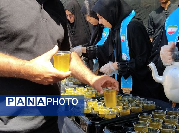 خدمت‌رسانی موکب‌‌های سازمان دانش‌آموزی و اداره‌کل آموزش و پرورش خراسان جنوبی به زائران جامانده اربعین در بیرجند