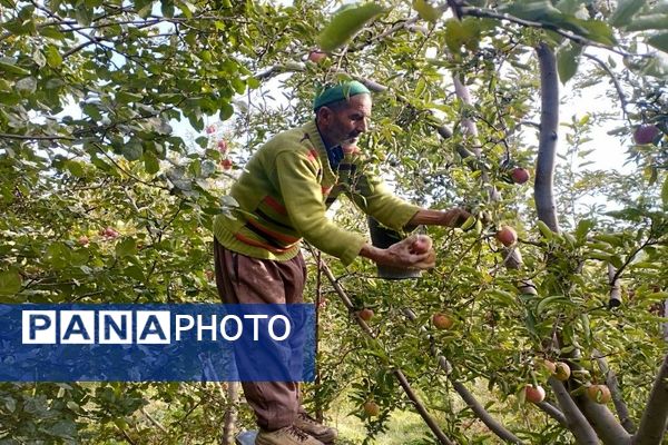 فصل زیبای پاییز در شهر بار نیشابور 