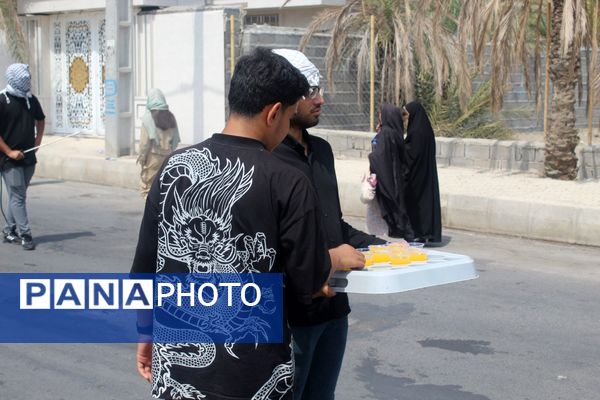 موکب پذیرایی مدافعان حریم ولایت در حاجی‌‌‌آباد