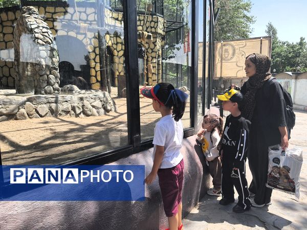 بازدید از باغ وحش ارم ،تجربه‌ای بی‌نظیر در دنیای شگفت‌انگیز حیوانات 