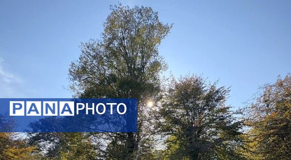 نگین سبز شمال ایران