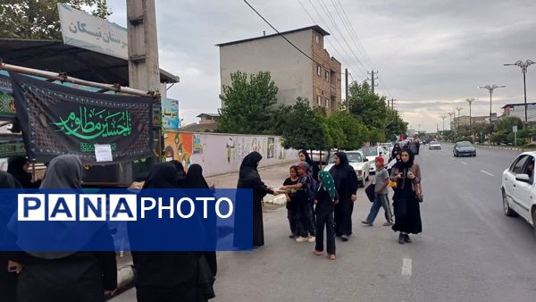 پیاده‌روی اربعین حسینی در محمودآباد