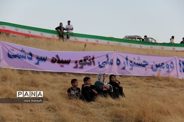 دومین جشنواره ملی انگور سیاه سردشت