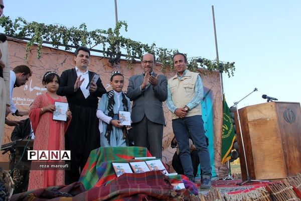 دومین جشنواره ملی انگور سیاه سردشت