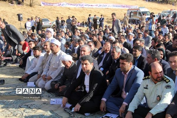 دومین جشنواره ملی انگور سیاه سردشت