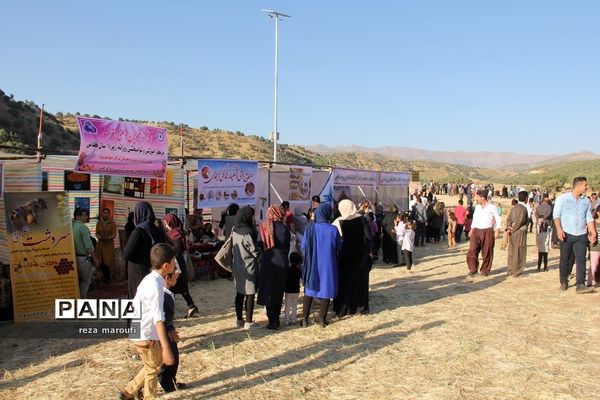 دومین جشنواره ملی انگور سیاه سردشت