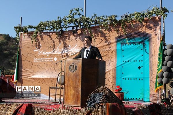 دومین جشنواره ملی انگور سیاه سردشت