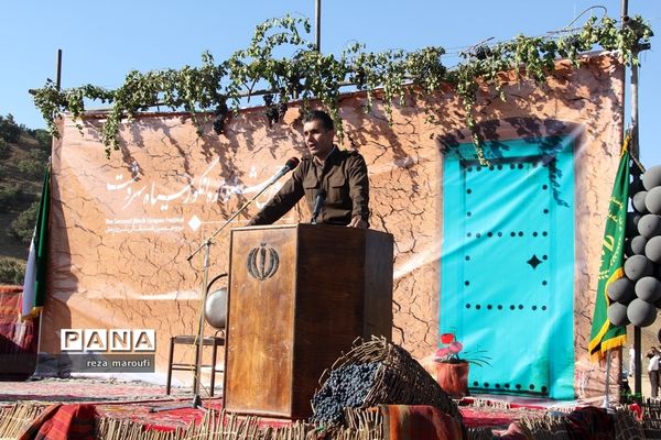 دومین جشنواره ملی انگور سیاه سردشت