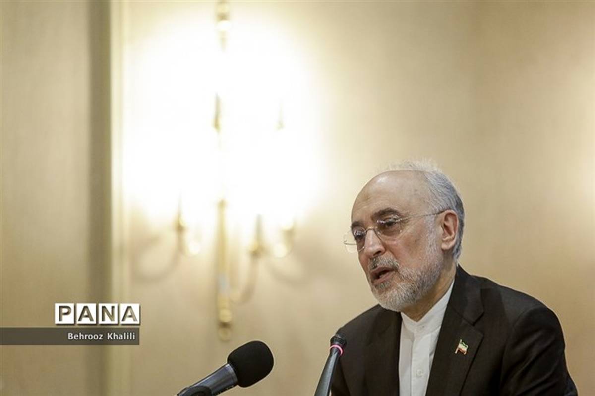 صالحی: برجام می‌توانست راهی برای احیای اعتماد بین ایران و آمریکا باشد
