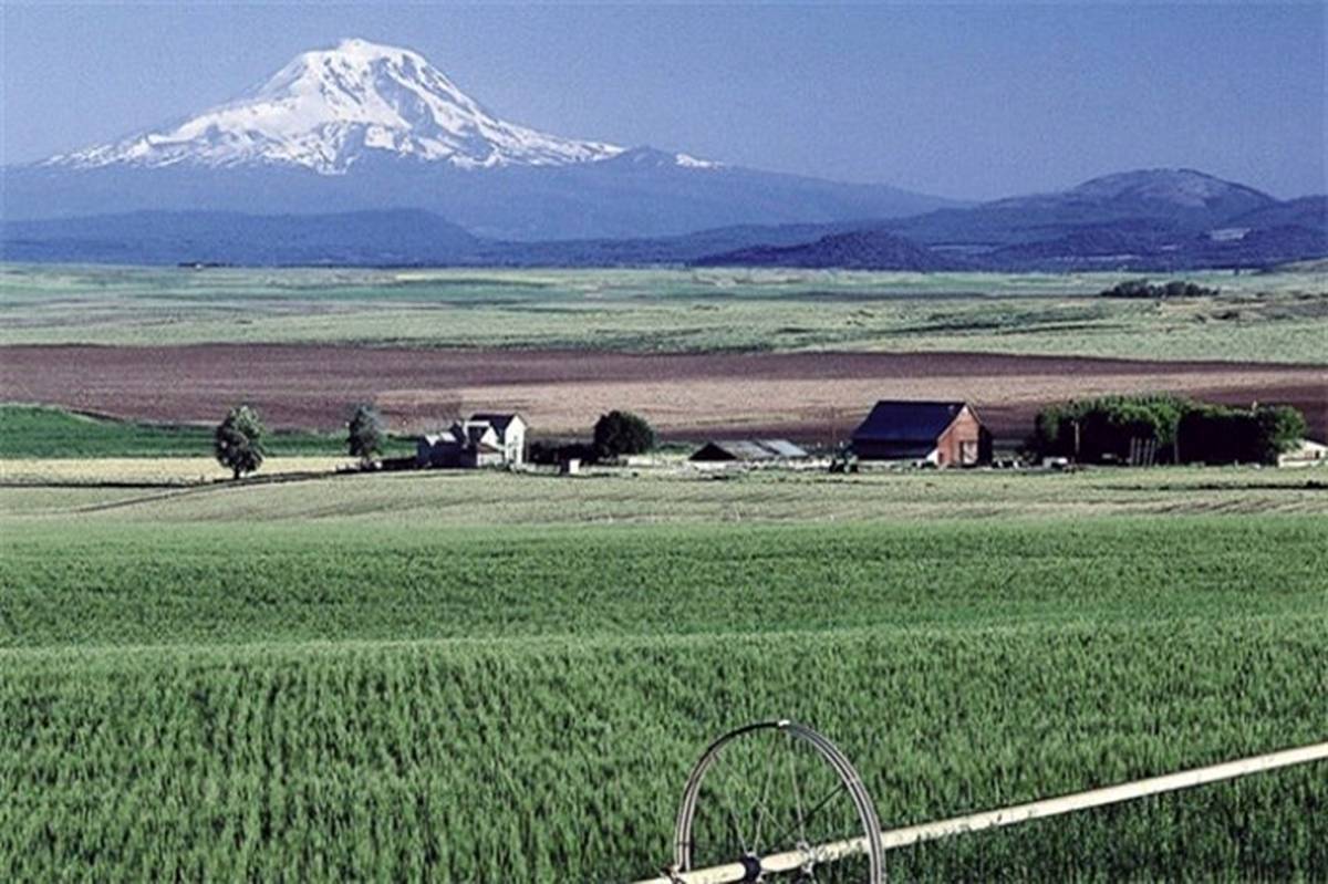 ​گزارش توصیه‌های هواشناسی کشاورزی به تفکیک استان‌ها تا ۲۵ شهریور ماه از سوی سازمان هواشناسی کشور منتشر شد.