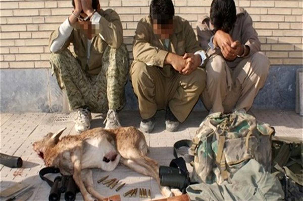 دستگیری ۸۳ نفر شکارچی غیرمجاز در شش ماهه سال جاری