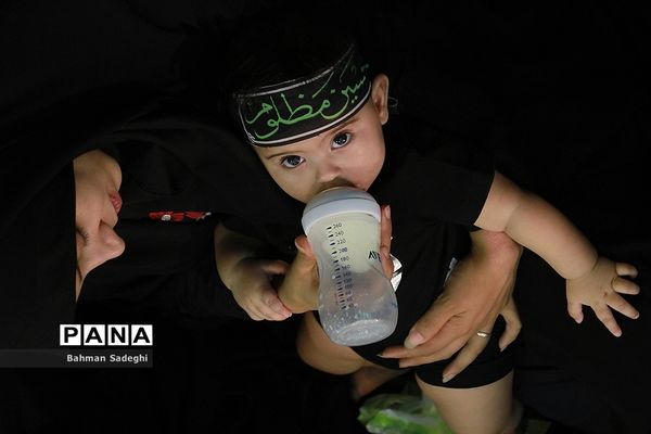 همایش شیرخوارگان حسینی در مصلی تهران
