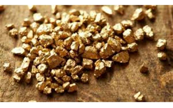 رکورد تولید طلا امسال شکسته می‌شود
