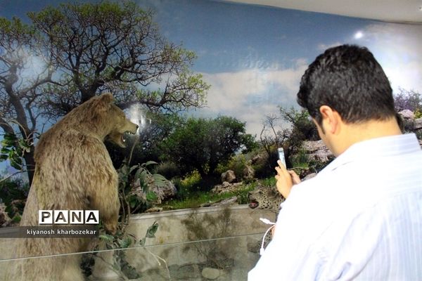 بازدید همیاران مشاور پسر آذربایجان غربی از موزه تاریخ طبیعی ارومیه