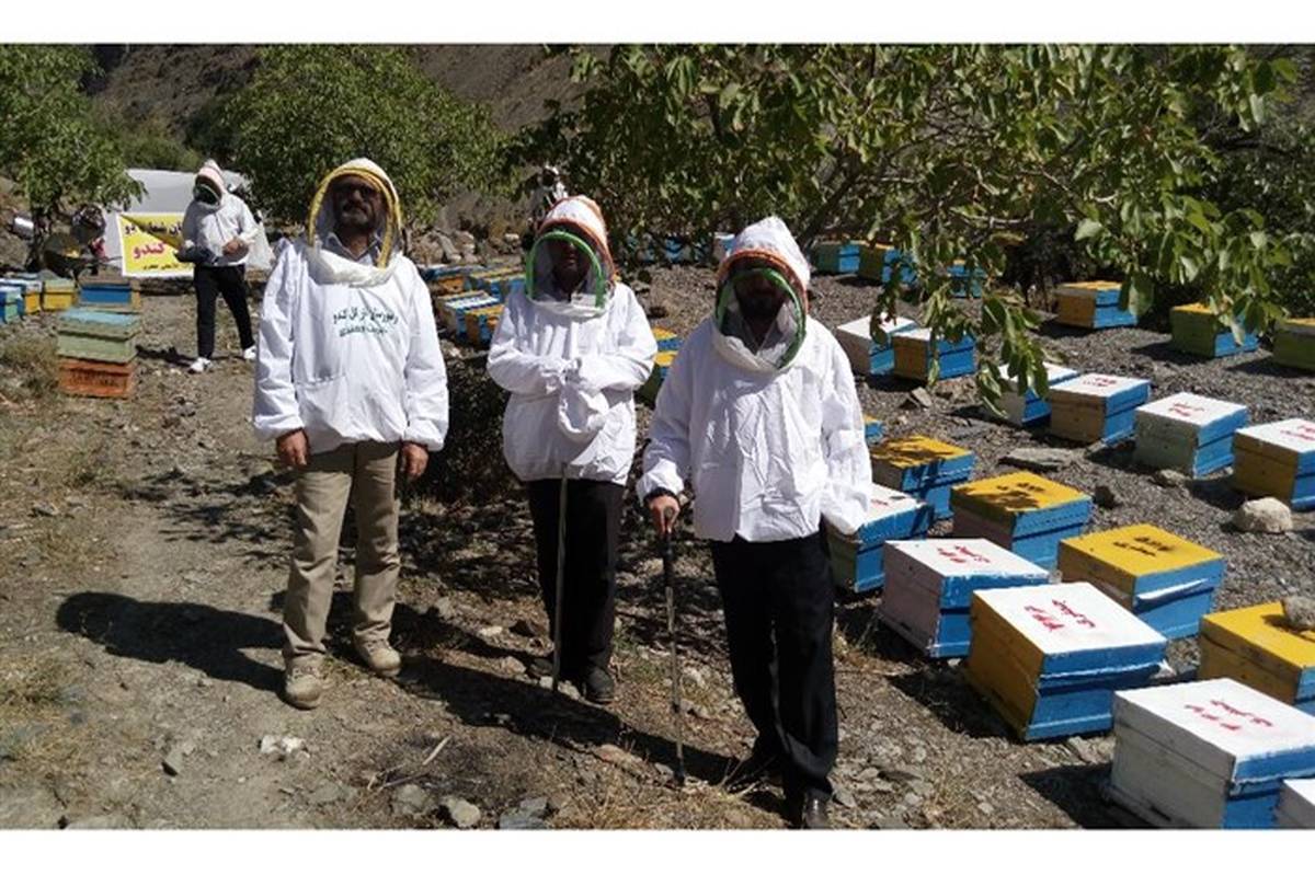 نزدیک به 9 درصد کلنی های زنبور کشور در فارس است