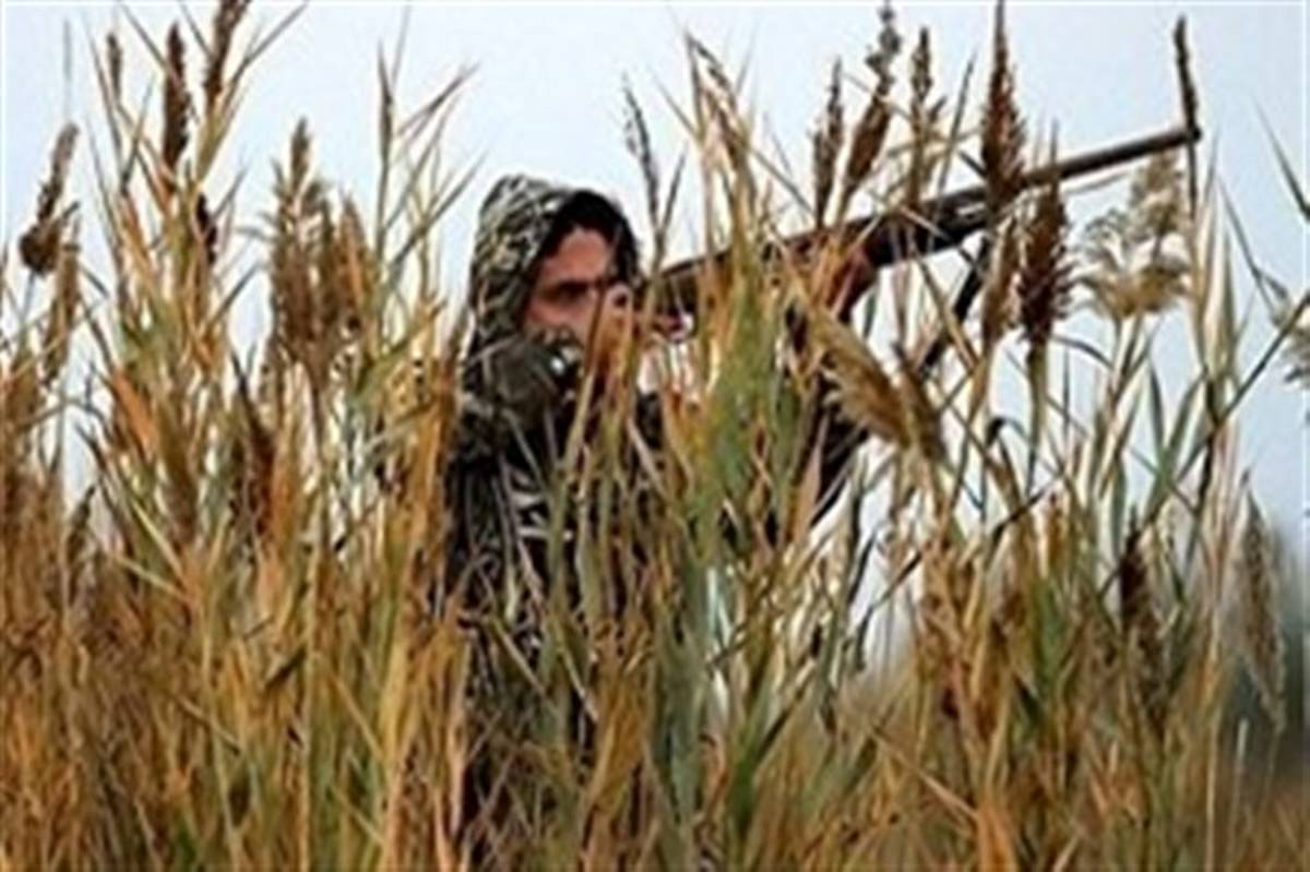 ‍ کشف و ضبط دو قبضه اسلحه و دستگیری شکارچی پرندگان در لامرد فارس