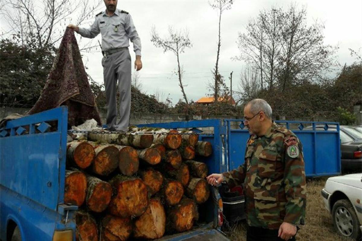 جریمه 12 میلیون تومانی برای قاچاق چوب در قاین