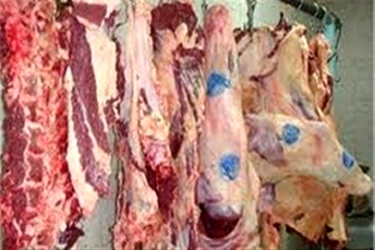 گمرک ایران اعلام کرد: صادرات گوشت گرم و منجمد تولید داخل و وارداتی ممنوع شد