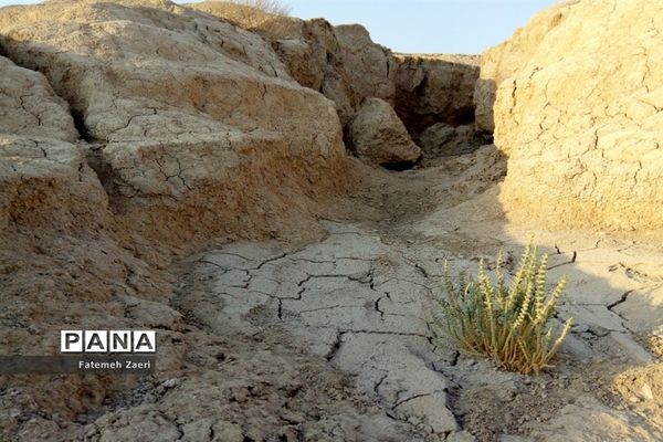 حال مهران‌شور فارس خوب است اما تو باور نکن!