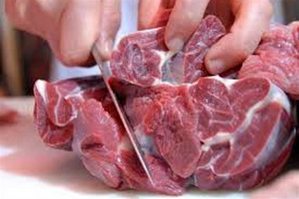 ۵۰ تن گوشت منجمد در آذربایجان غربی توزیع می شود