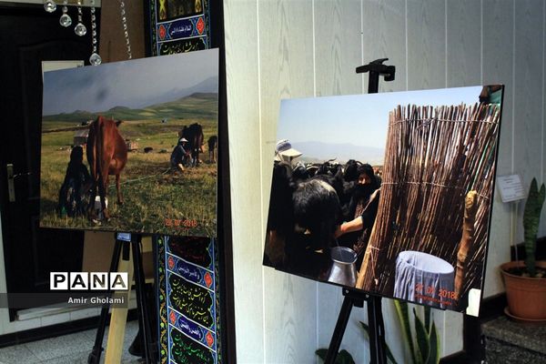 نشست تخصصی ارائه گزارش تحولات جامعه زنان عشایری و روستایی