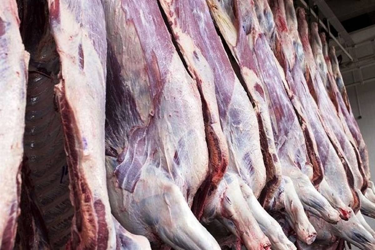 توزیع 700 کیلوگرم گوشت گرم در مهاباد آغاز شد
