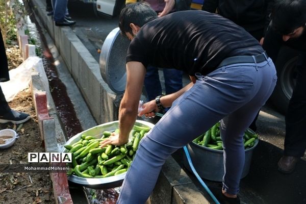 شورحسینی در راهپیمایی  جاماندگان کربلای حسینی