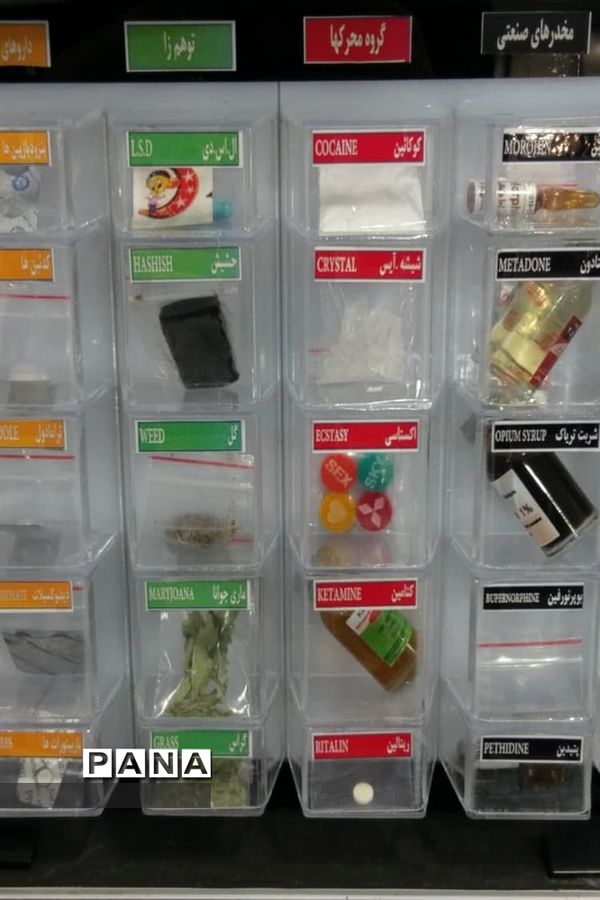همایش تربیت بدنی ناحیه یک ری