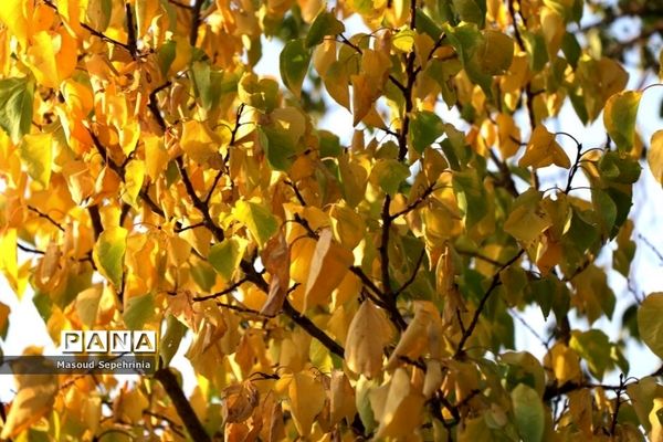شروع فصل پاییز در تبریز