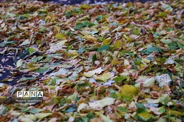 شروع فصل پاییز در تبریز