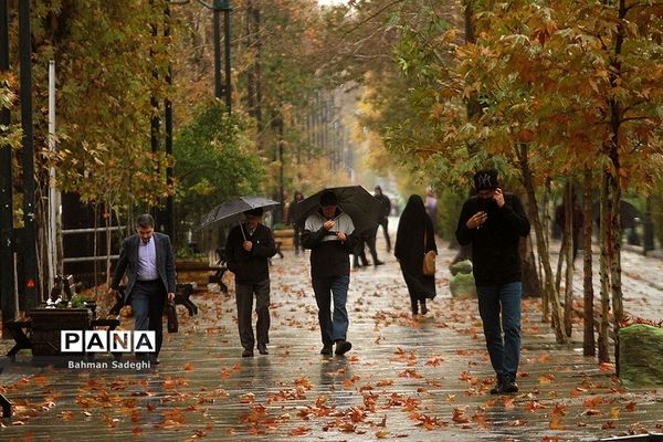 بارش باران پاییزی در تهران