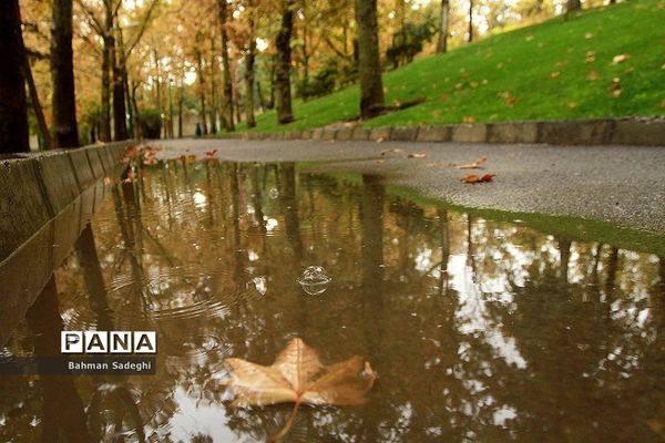 بارش باران پاییزی در تهران