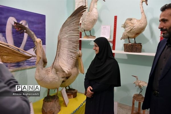 بازدید معاون آموزش ابتدایی وزارت آموزش‌وپرورش از کانون فجر بابلسر