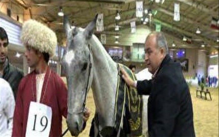 برگزاری سومین جشنواره ملی اسب ترکمن پایتخت در ملارد