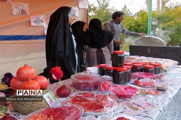 برگزاری جشنواره انار در باغ صدری شهرستان تفت در یزد