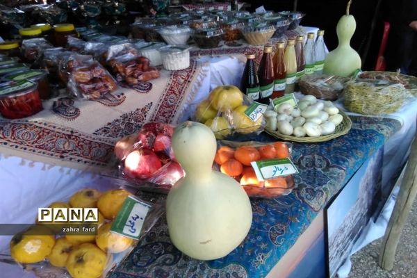 برگزاری جشنواره زعفران در شهر مشکان نی ریز