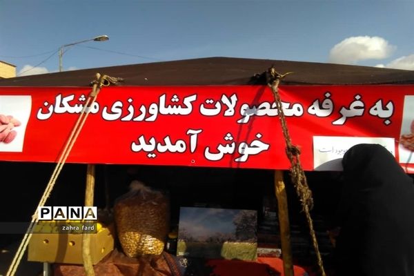 برگزاری جشنواره زعفران در شهر مشکان نی ریز