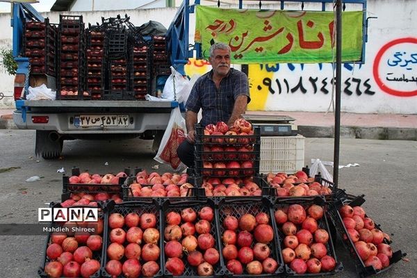 بازار روز میوه و تره‌بار فریدونکنار