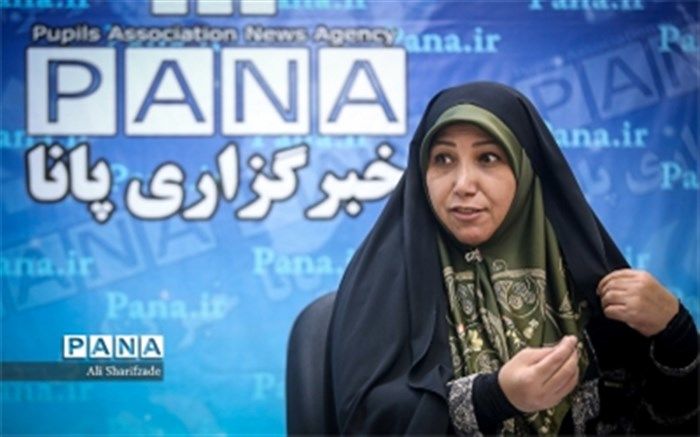 مینایی‌پور: طرح خواهر خواندگی مدارس یک جریان ارتباطی مردمی است