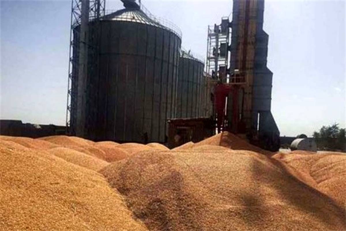 ذخیره 600 هزار تن گندم در سیلوهای استان