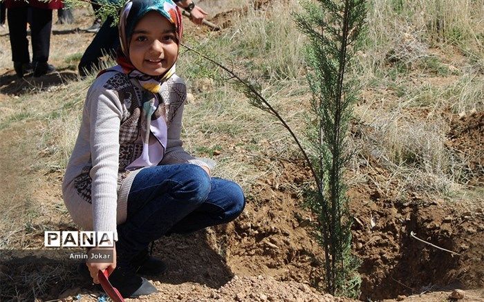 آغاز درختکاری منازل شهروندان از ١٠ دی‌ماه