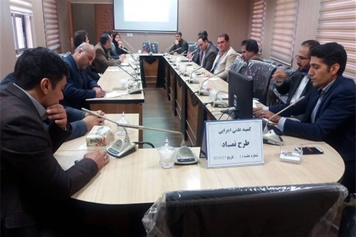 دومین جلسه کمیته علمی اجرایی طرح ملی نماد برگزار شد