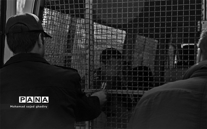 دستگیری 207 تن از اراذل و اوباش پایتخت + عکس