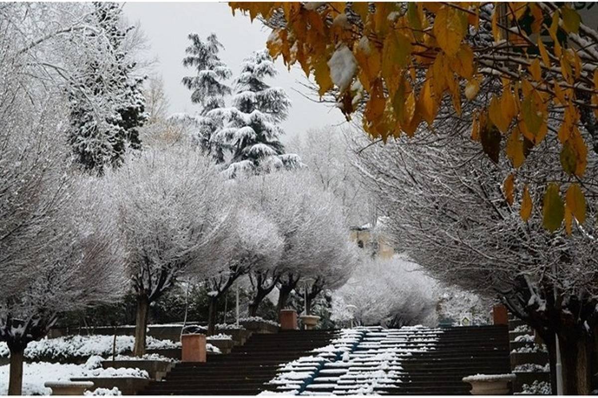 جاذبه های گردشگری  تهران در زمستان