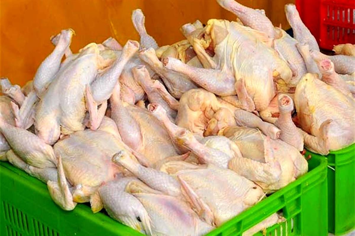 کاهش ۳۰۰ تومانی نرخ مرغ در بازار