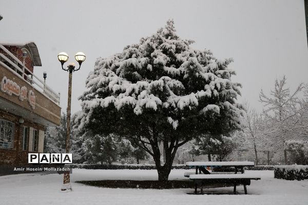 اولین برف زمستانی در ارومیه