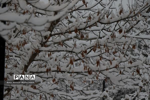 اولین برف زمستانی در ارومیه